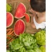 wally-the-watermelon6.jpeg